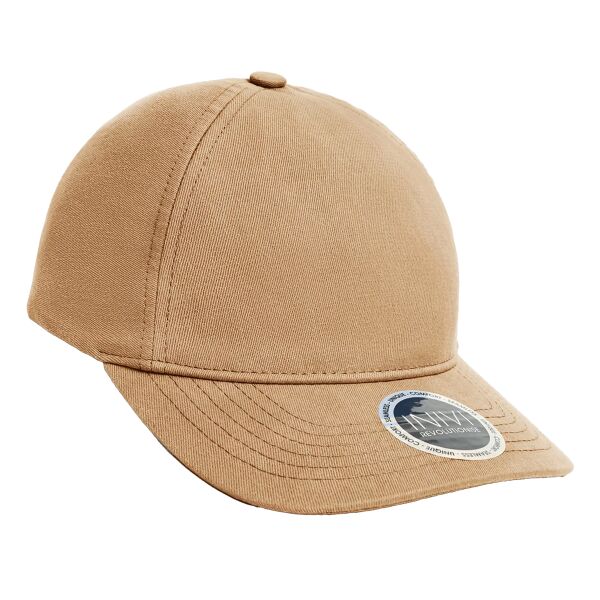 Enzyme 2 Panel Cap Thumbnail